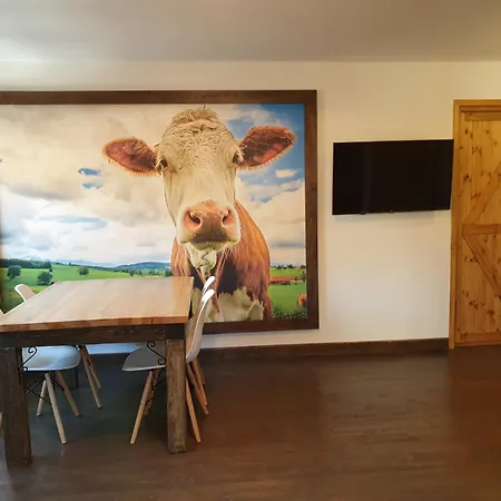 Izba W Centrum Miasta Zakopane Pokoj fotografie
